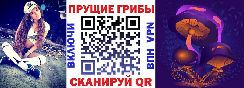 Купить Будённовск Псилоцибиновые грибы MAGIC MUSHROOMS